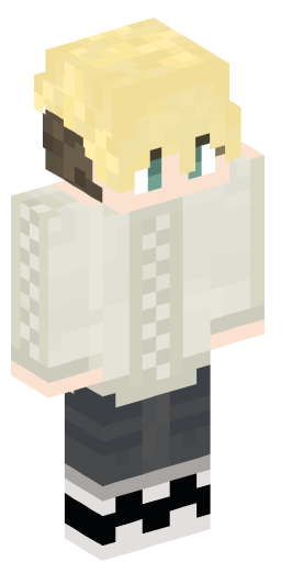 Minecraft Skin #169899