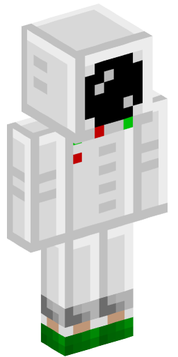 Minecraft Skin #169911