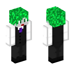 Minecraft Skin #170139