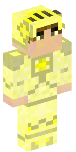 paladin_27 Minecraft Skin Preview on Minecraft.Co.Com