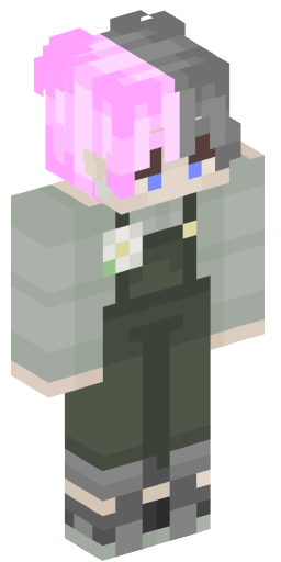 Minecraft Skin #170789