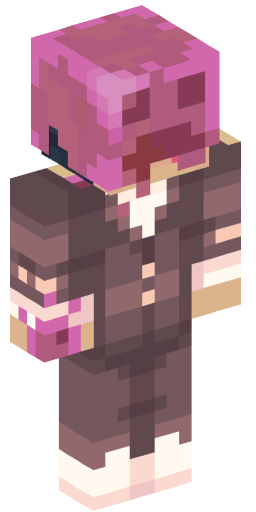 Minecraft Skin #170804