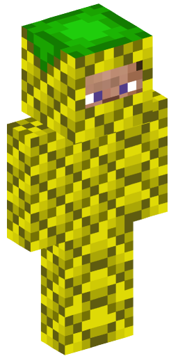 Minecraft Skin #171064