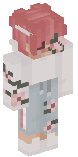Minecraft Skin #172011