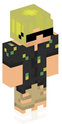 Minecraft Skin #172094