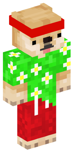 Minecraft Skin #172169