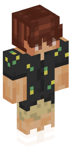 Minecraft Skin #172224