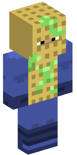 Minecraft Skin #172418
