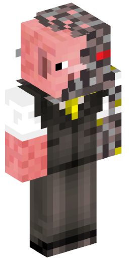 Minecraft Skin #172421