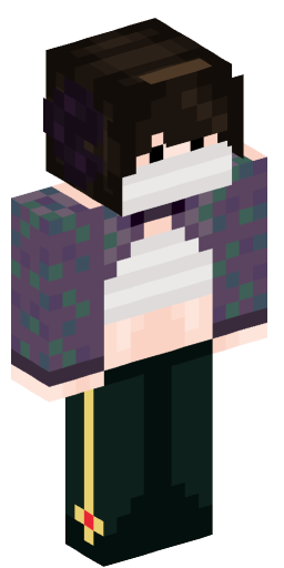 Minecraft Skin #172617