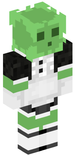 Minecraft Skin #172719