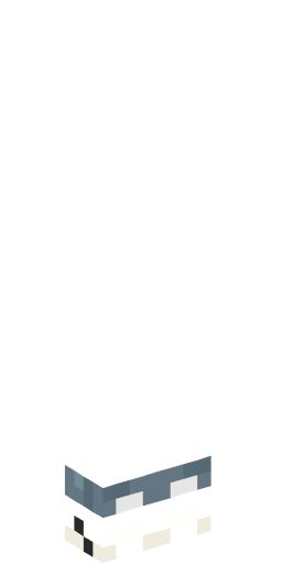 jouwmaatSENNA Minecraft Skin Preview on Minecraft.Co.Com