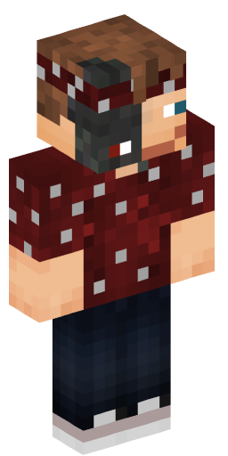 Minecraft Skin #174628