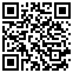 Skyslayer737 QR Code