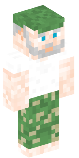 Minecraft Skin #175910