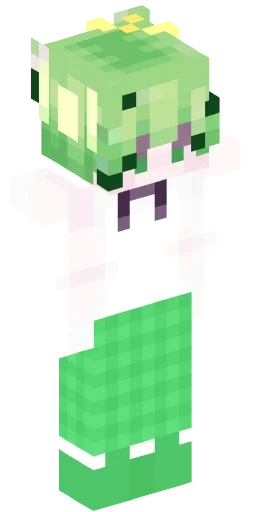 Minecraft Skin #178061
