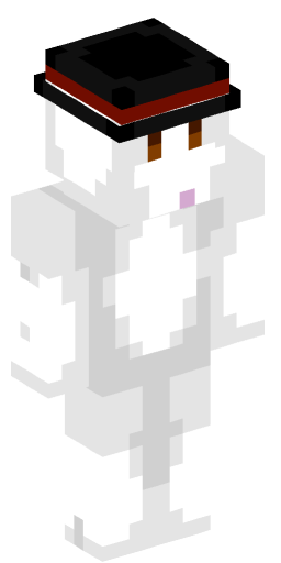 Minecraft Skin #178143