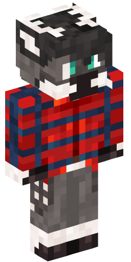 Minecraft Skin #179243
