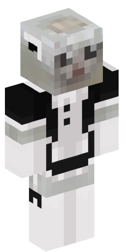 Minecraft Skin #179662