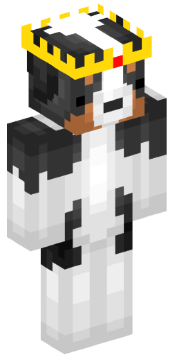 Minecraft Skin #180051
