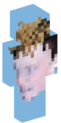 Minecraft Skin #180829