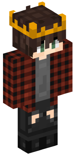 Minecraft Skin #181416