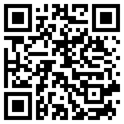 wirz QR Code