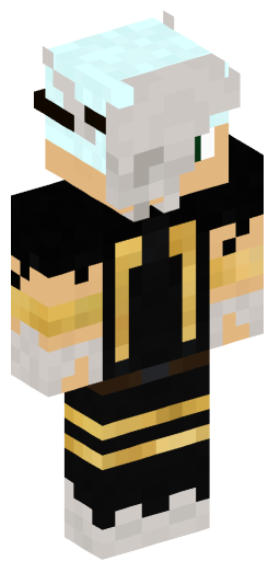 Minecraft Skin #183352