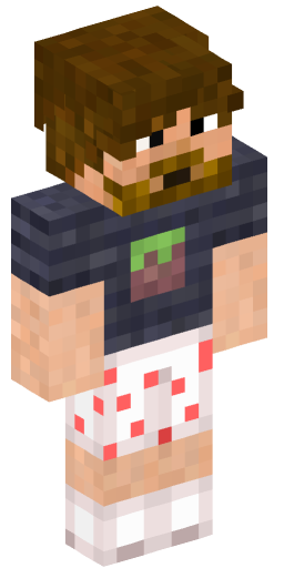 Minecraft Skin #184747