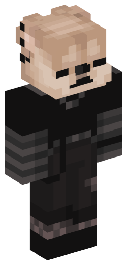dogeula Minecraft Skin Preview on Minecraft.Co.Com