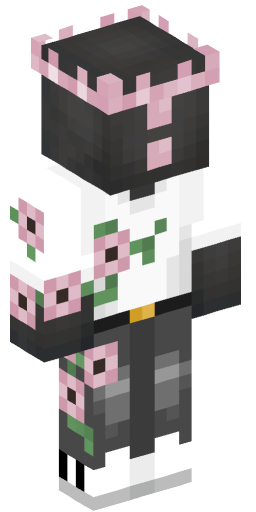 Minecraft Skin #186798