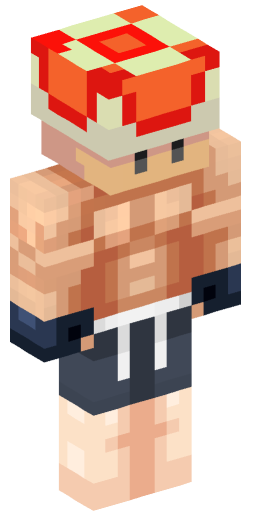 datasgard Minecraft Skin Preview on Minecraft.Co.Com