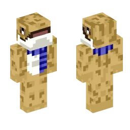 Minecraft Skin #