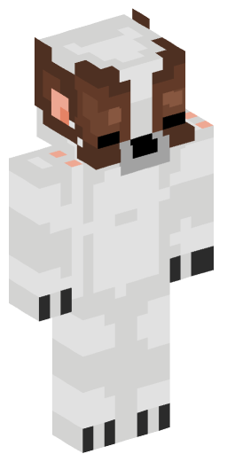 Minecraft Skin #190417
