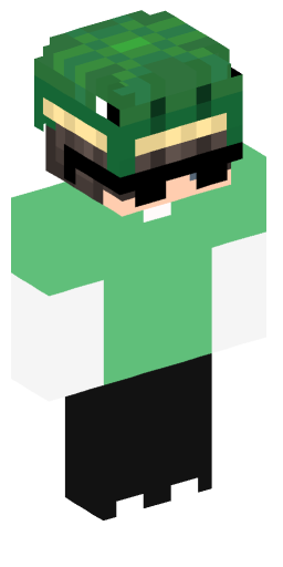 Minecraft Skin #190496