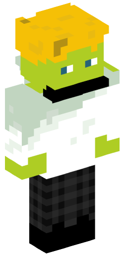 koopa_102 Minecraft Skin Preview on Minecraft.Co.Com