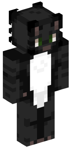 Minecraft Skin #190815