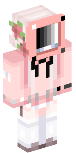 Minecraft Skin #191704