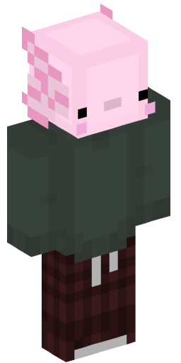 Minecraft Skin #191739