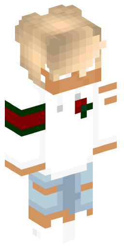 Minecraft Skin #191962