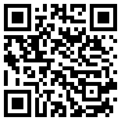 RaidenShogun QR Code