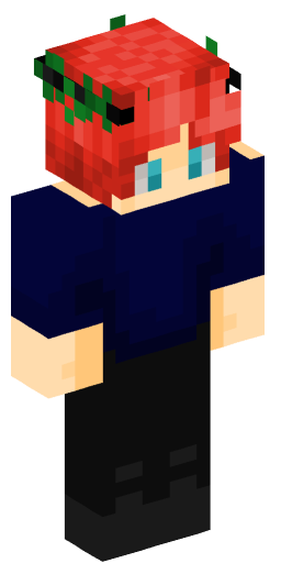 Minecraft Skin #192255