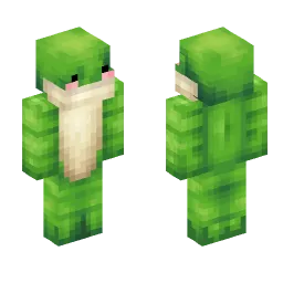 Minecraft Skin #