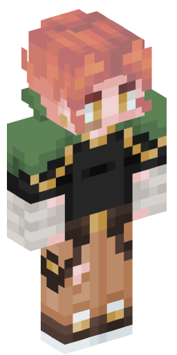 Minecraft Skin #193534