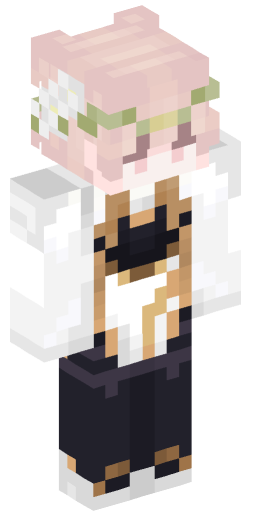 Minecraft Skin #194343