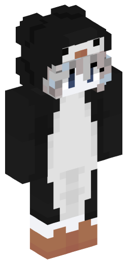 FuntimeBrixxer Minecraft Skin Preview on Minecraft.Co.Com