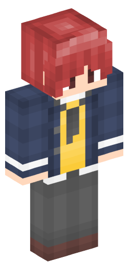 Minecraft Skin #195510