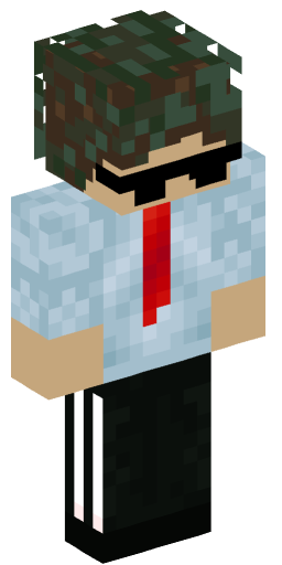 Minecraft Skin #195516