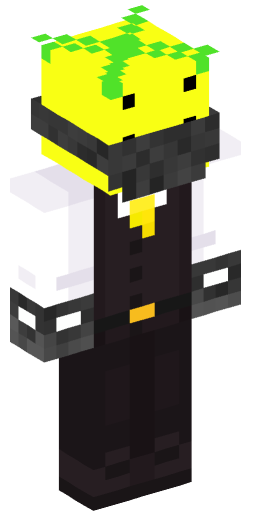 Minecraft Skin #196232