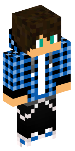 THEP0LLOCK Minecraft Skin Preview on Minecraft.Co.Com